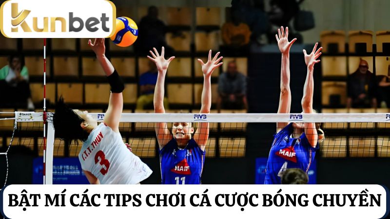 Bật mí các tips chơi cá cược bóng chuyền