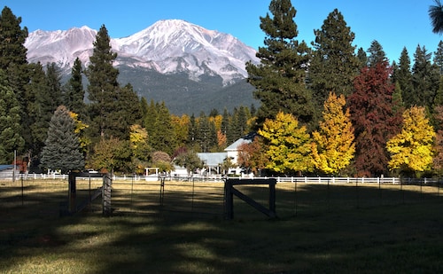 GratoWin app download in Canada