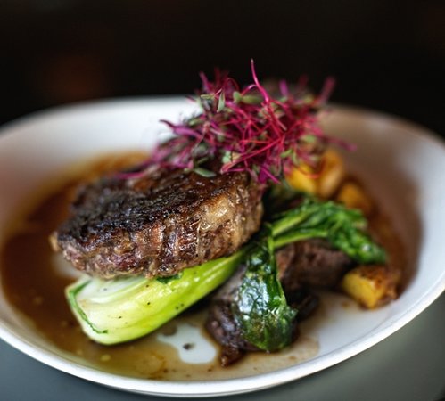 no deposit bonus app