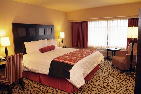 Spinsamurai app download in Ireland